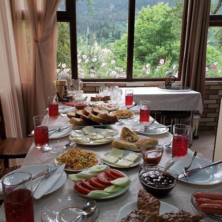 Guest House Nanu 메스티아 외부 사진