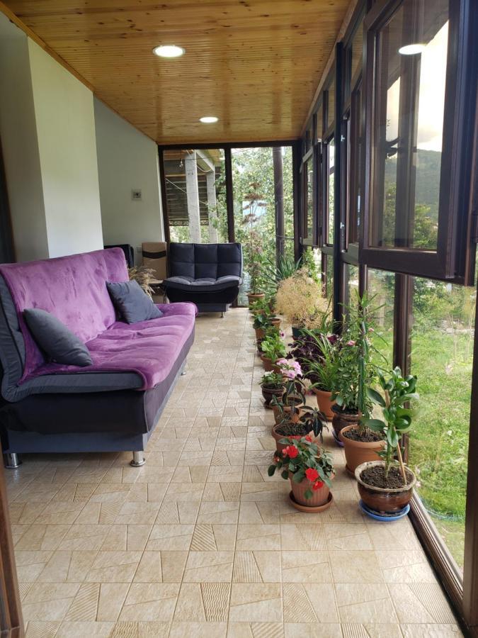 Guest House Nanu 메스티아 외부 사진
